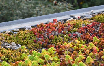the cost of Talbots End green roof installation